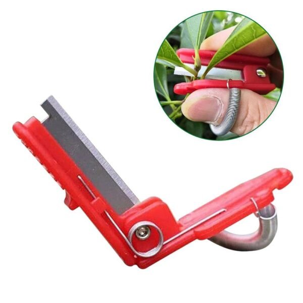 Vegetable Thump Knife Separator